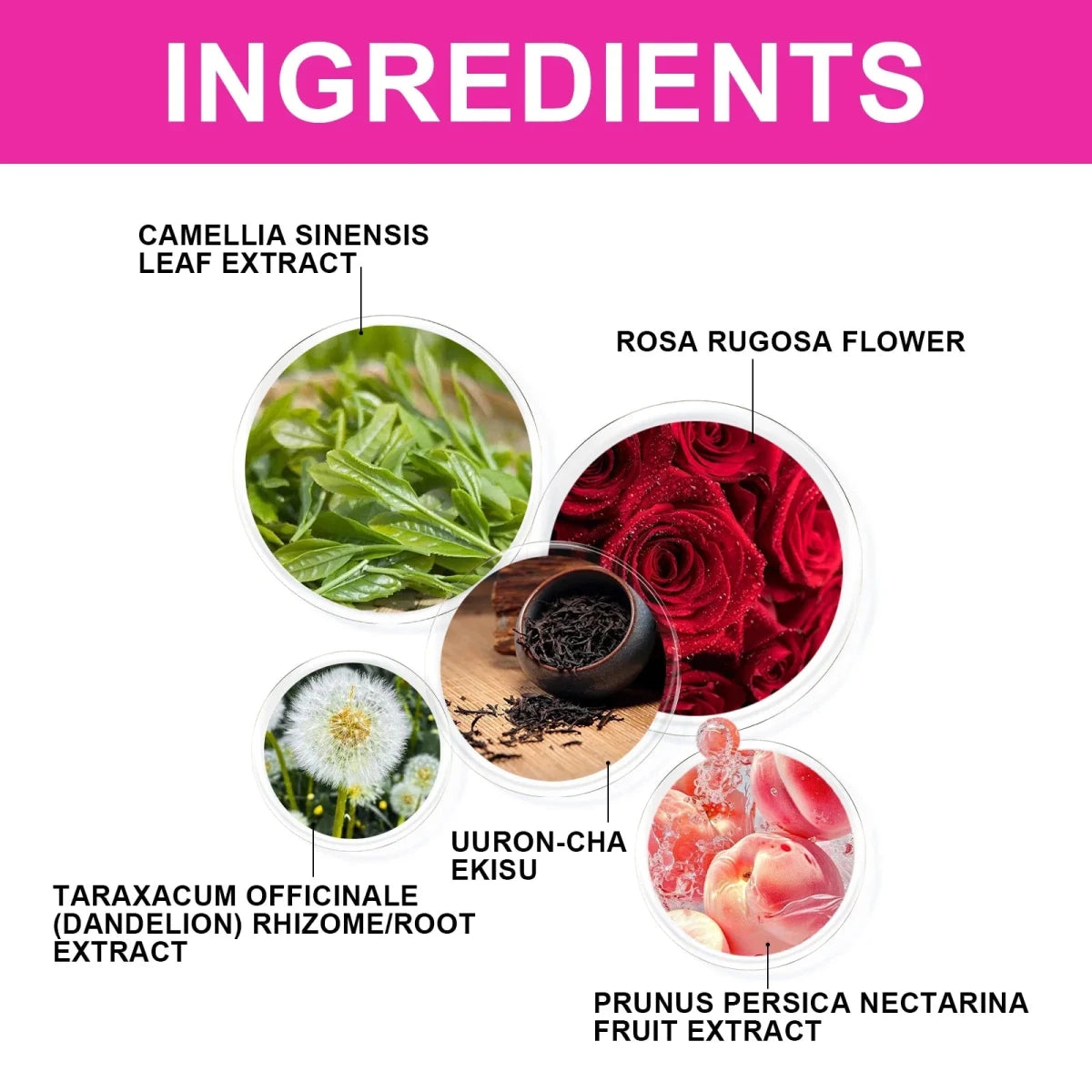Wellness Green Tea for Body Toning and Natural Shape - Essentials Gadget Love
